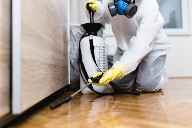 Wildlife Control Services in Mountain City, GA