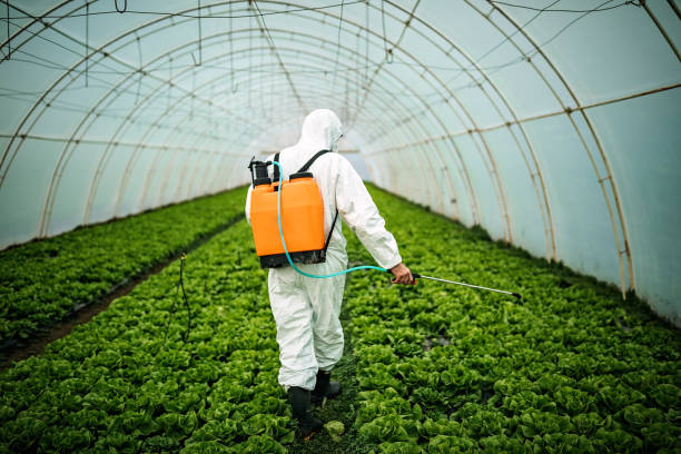 Best Local Pest Control Services  in Mountain City, GA