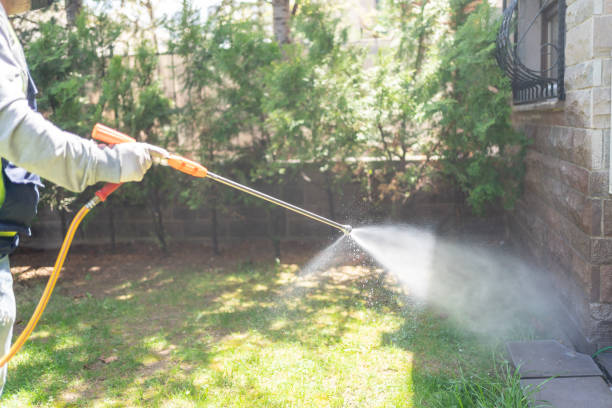 Best Rat Extermination Near Me  in Mountain City, GA