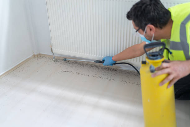 Best Pest Removal Services  in Mountain City, GA