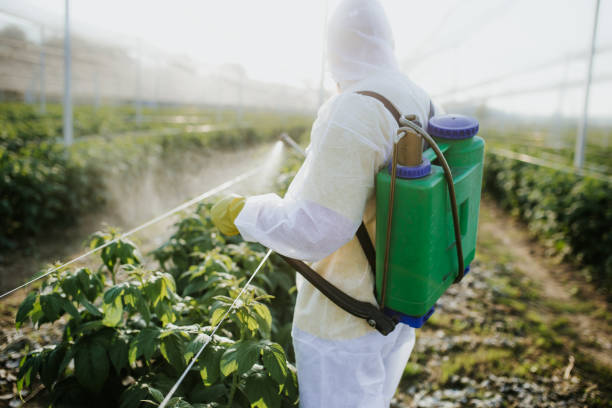 Best Pest Control Near Me  in Mountain City, GA
